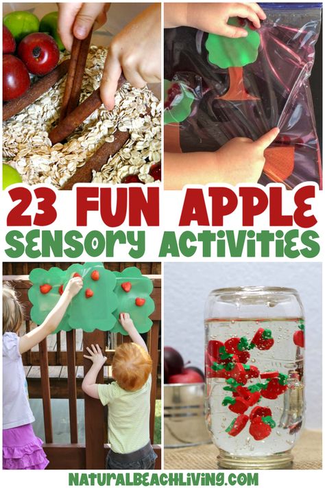 These 40 apple sensory play ideas will encourage learning and discovery. Pick a few of these activities for a Fall afternoon of apple-themed sensory fun! Find The Best Apple Sensory Play Ideas for Preschoolers, Toddlers, and kids of all ages. Apple Sensory Table, Apple Sensory Bin, Preschool Apple Theme Activities, Dough Sensory Play, Apple Sensory, Kids Water Play, Apple Theme Activities, Preschool Apple Theme, Sensory Table Ideas