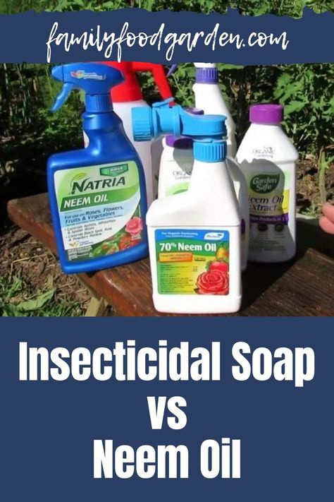 When it comes to pest control there are a variety of options and Family Food Garden looks at insecticidal soap vs neem oil and which is better. You can find insecticidal soap explained as well origins and availability. Get a recipe complete with ingredients for making homemade insecticidal soap spray. See how to use insecticidal soap complete with disadvantages and advantages. Learn about neem oil and how to make homemade neem oil spray. Find out which of these options you should use here. Diy Insecticidal Soap, Organic Insecticide, Squash Bugs, Castille Soap, Beds Diy, Garden Bugs, Vegetable Garden Planning, Insecticidal Soap, Raised Garden Beds Diy