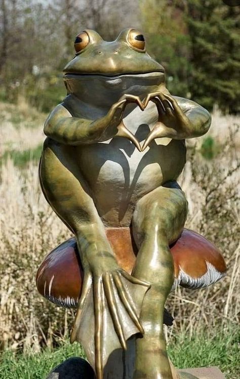 Different Types Of Frogs, Frog Pics, Garden Frog Statue, Types Of Frogs, Frog Rock, Garden Frogs, Frog Statues, Frog Pictures, Frog Decor