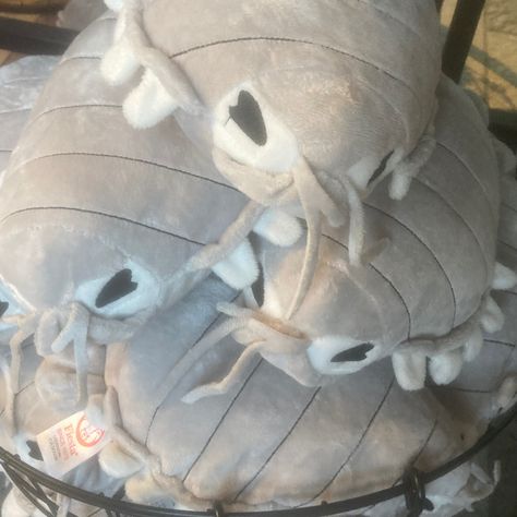 Giant Isopod Plush, Sea Creature Plush, Isopod Plush, Giant Isopod, Cool Bugs, Monterey Bay Aquarium, Monterey Bay, Silly Animals, Cute Stuffed Animals