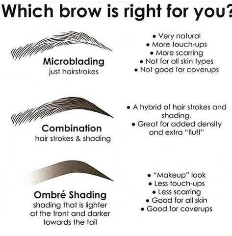 Curved Brow Studio on Instagram: “Which look is your favorite??? #microbladingeyebrows #microbladingbrows #permanentmakeup #microbladingartist #micropigmentation…” Microblading Strokes, Brow Microblading, Ombre Eyebrows, Micro Blading, Eyebrows Microblading, Phi Brows, Cream For Dark Circles, Brow Studio, Plucking Eyebrows