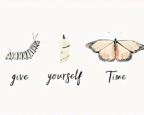 Give Yourself Time Pilates For Beginners, Health Quotes, A Butterfly, Note To Self, The Words, Beautiful Words, Caterpillar, Inspirational Words, Cool Words