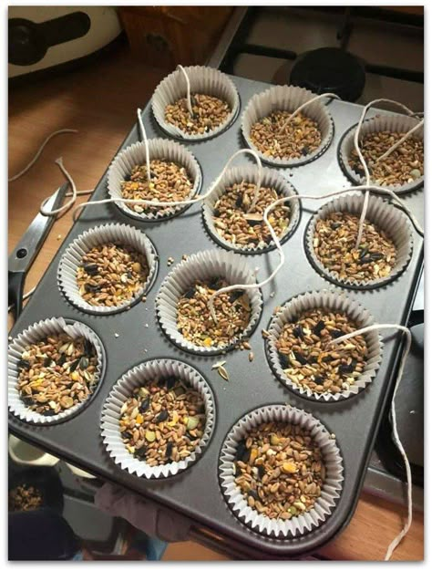 Birdseed Cakes, Bird Seed Crafts, Bird Feeders For Kids To Make, Seed Craft, Backyard Birds Sanctuary, Backyard Birds Feeders, Bird Suet, Suet Cakes, Bird Feeder Craft