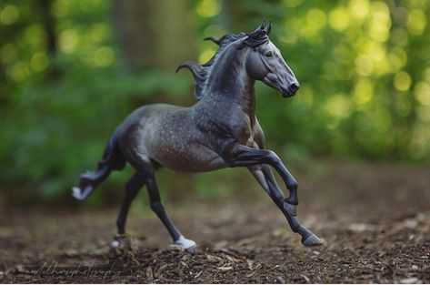 Horse Photography Ideas, Reference Things, Schleich Horses Stable, Schleich Horses, Bryer Horses, Well Pictures, Amazing Pumpkin Carving, Breyer Horse, Horse Ideas