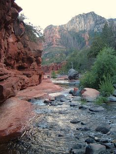 Oak Creek Canyon Arizona, Slide Rock State Park, Oak Creek Canyon, Arizona Adventure, Fairy Queen, Arizona Travel, Phoenix Arizona, Pretty Places, Vacation Spots