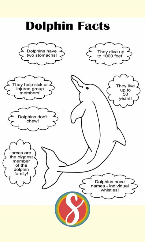 Free dolphin facts coloring page from Stevie Doodles - 11 free dolphin coloring pages! Print and color this page with fun dolphin facts free today #dolphinfacts #animalfacts #freedolphinfactsprintable #dolphinfactsactivitysheet #educationaldolphinactivity #dolphinactivities #dolphinfactscoloringpage Dolphin Facts For Kids, Dolphin Craft, Oceanography Marine Biology, Dolphin Facts, Ocean Coloring Pages, Dolphin Coloring Pages, Classroom Charts, Free Kids Coloring Pages, Heart Coloring Pages