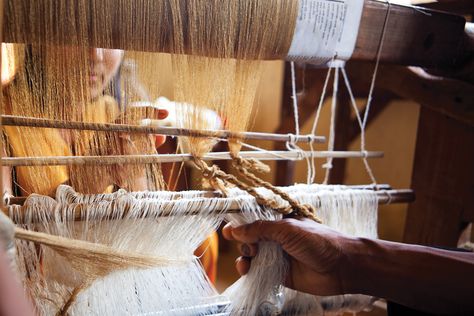 A woman helps a weaver settle the muga silk yarn on to the handloom frame. Boko is an important centre for the production of muga silk in Assam. BOKO. ASSAM. Muga Silk, Handloom Weaver, Silk Yarn, Handloom Saree, Natural Dyes, The Process, Hand Weaving, Weaving, Textiles