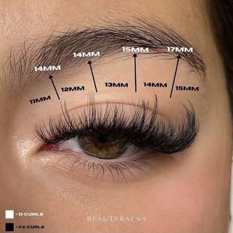 Wispy Lash Mapping 😍✨ Eyelash Extensions Styles Cat Eye Wispy, False Lash Extensions, Natural Makeup With False Lashes, Wispy Cat Eye Extensions, Lash Maps Wispy, Wispy Set Lash Map, Cat Eye Lashes Mapping, Wispy Cat Eye Lash Map, Cat Eye Extensions Eyelashes