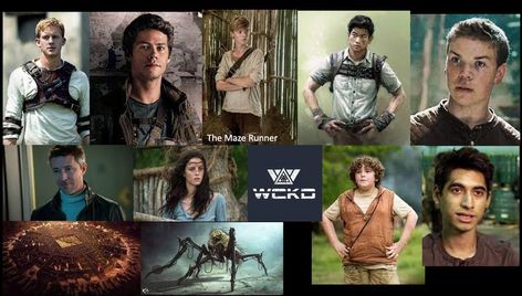 I just realized everyone here is dies except for Thomas, Gally and Minho. I wish newt was on that list:( Make sure to folllow me for more amazing fandoms and comment to! Maze Runner, Computer Wallpaper, Computer, Books, Movie Posters, Film Posters