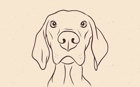 Magyar Vizsla Dog Illustration featuring a cute simple design of a puppy. Great for dog lovers and pet owners!  Design available for commercial and promotional use, great for logos, business cards, presentations, motion graphics and more! Vizsla Tattoo, Dog Face Outline, Tatoo Dog, Dog Drawing Simple, Dog Line Drawing, Dog Design Art, Vizsla Dog, Colorful Hairstyles, Dog Outline