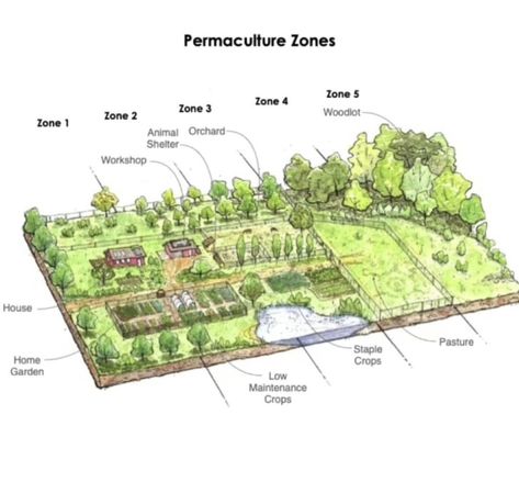 Family Compound Ideas Layout, Farm Stead, Homestead Layout, Homestead Gardening, Agriculture Projects, Garden Goals, Homesteading Diy, Farm Plans, Farm Layout