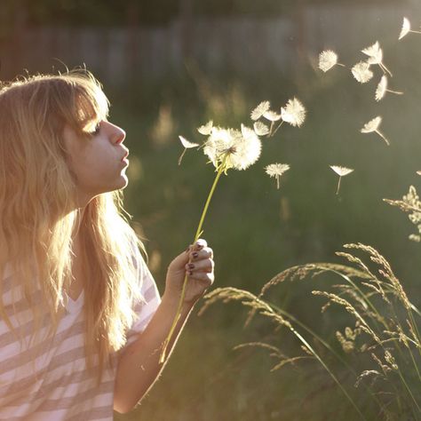 One Thousand Gifts, Blowing Dandelion, A Dandelion, Dandelion Wish, Sun Shining, Art Historian, Engagement Photoshoot, Make A Wish, Picture Perfect