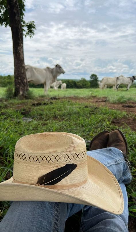 Rancho Aesthetic, Elsie Silver Aesthetic, Cade Eaton, Willa Grant, Foto Cowgirl, Chestnut Springs, Elsie Silver, Silver Aesthetic, Cowboy Aesthetic