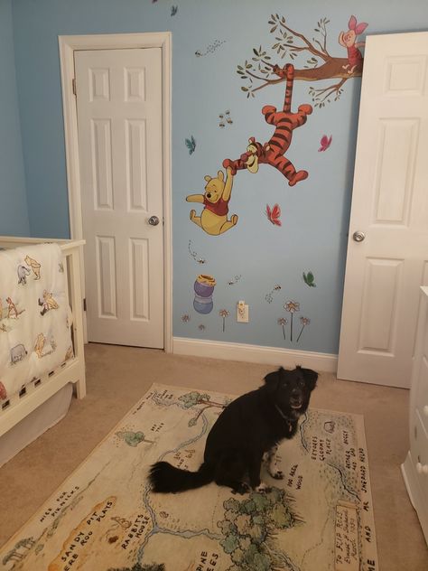 Baby Room Design Boy, Winnie The Pooh Decor, Pooh Nursery, Winnie The Pooh Nursery, Baby Room Themes, Baby Boy Room Decor, Baby Boy Room Nursery, Nursery Room Inspiration, Pooh Baby