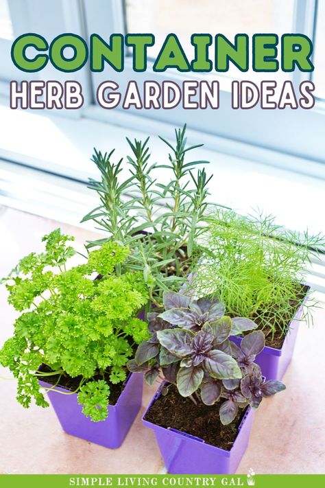 Need container herb garden inspiration? Explore creative methods to grow herbs in small spaces, like mason jars and recycled cans. Ideal for beginners and urban gardeners wanting fresh herbs all year round. Creative Container Garden Ideas, Container Herb Garden Ideas, Growing Herbs Outdoors, Garden Ideas For Small Spaces, Growing Herbs In Pots, Recycled Planters, Recycled Cans, Herb Garden Ideas, Herb Gifts