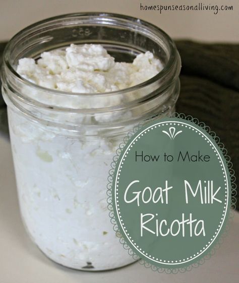 How to make goat milk ricotta at home. Things To Make With Goats Milk, How To Make Goat Cheese At Home, How To Make Goat Cheese, Goat Milk Mozzarella Recipe, Goats Milk Cheese, Homestyle Cooking, Raw Dairy, Cheese Recipes Homemade, Cheese Making Recipes