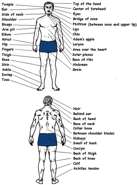 Knowledge of pressure points and pressure point techniques is a useful addition to ones self defense arsenal. When appropriately used, they provide an effective means of controlling an adversary without necessarily inflicting serious injury.   Listed below are a few pressure points on the human body. #RasSpirit Karate Stances, Vital Points, Body Pressure Points, Jiu Jutsu, Krav Maga Techniques, Learn Krav Maga, Self Defense Moves, Pressure Point, Hand To Hand Combat