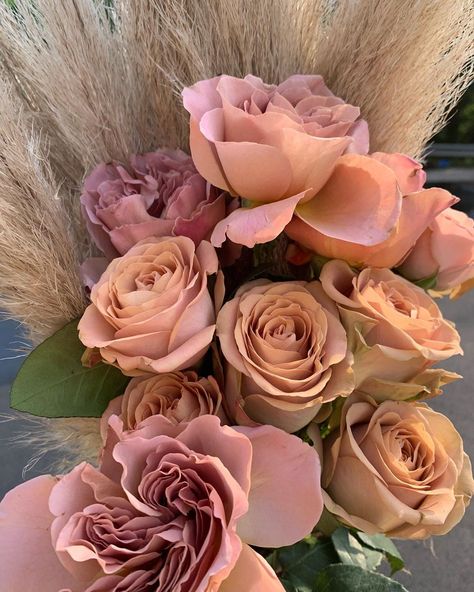 Potomac Floral Wholesale on Instagram: “Now for our coffee date with Cafe Latte (a dynamic and warm mauve-beige rose) and Cappuccino (creamy-peach, the traditionally shaped rose…” Sketch Rose, Mauve Beige, Colorful Floral Art, Antique Flowers, Shade Roses, Champagne Rose, Floral Art Design, Cafe Latte, June Wedding