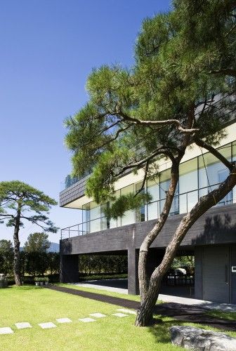 Floating House / Hyunjoon Yoo Architects / Korea Modern Korean House, Korean House Exterior, House Yard, Modern Mansion, Floating House, Unique Buildings, Roof Garden, Traditional Architecture, Modern Buildings