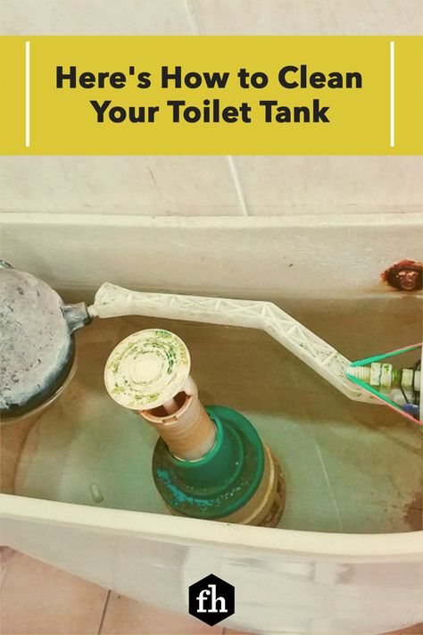 Here's How to Clean Your Toilet Tank Vinegar In Toilet Tank, Cleaning Toilet Tank, Toilet Tank Cleaner, House Maintenance, Mildew Remover, Cleaning Methods, How To Clean Rust, Diy Toilet, Cleaning Tricks