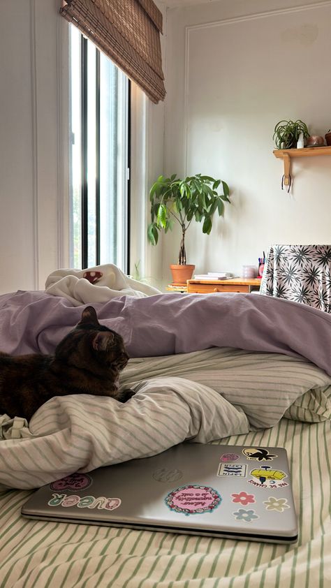 Cat in bed - Cozy vibe - Purple - Sauge - Bedroom Sage Green And Lavender Bedroom Ideas, Purple And Green Bedding, Green And Lilac Bedroom, Purple And Green Room, Purple Gray Bedroom, Purple Bedroom Aesthetic, Purple And Green Bedroom, Cat In Bed, Lilac Bedroom