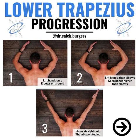 Dr. Caleb Burgess DPT OCS CSCS on Instagram: “💥Low Trap Progression💥 - 💯 Tag a friend who could use this progression! - 💥The middle and lower trapezius muscles can be helpful to…” How To Stretch Trapezius Muscle, Lower Traps Exercises, Lower Trapezius Stretch, Trap Muscle Workout, Stretch Trapezius Muscle, Lower Trapezius Exercises, Lower Trap Exercises, Trap Release, Traps Exercises