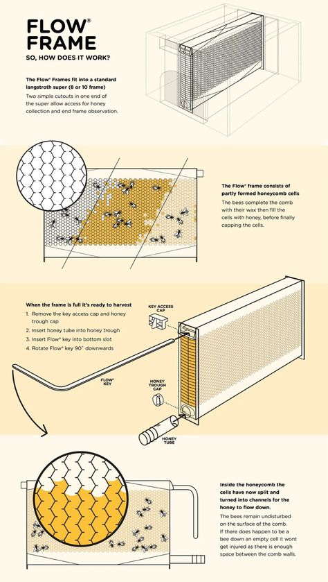 The world’s most innovative beehive makes beekeeping efficient, reduces waste & gets honey on tap! - Yanko Design Bee Diagram, Apiary Design, Bee Hives Boxes, Honey House, Flow Hive, Patio Edging, Bee Hive Plans, Beehive Design, Backyard Bee