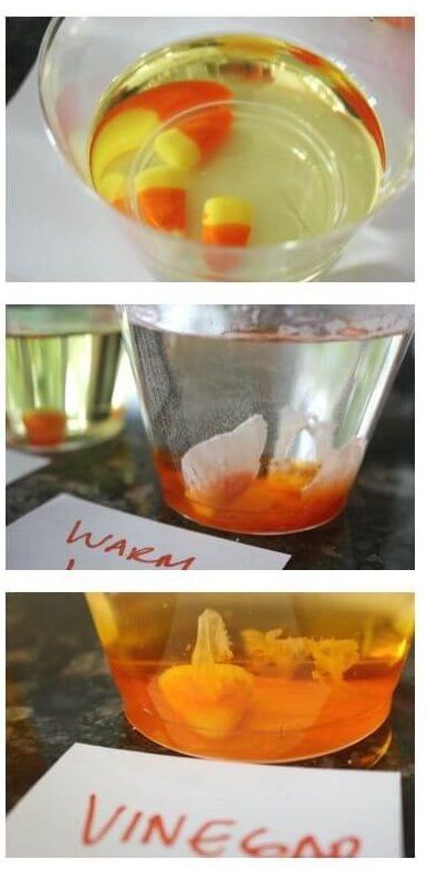 Halloween Science Activities Preschool, Dissolving Candy Corn, Halloween Experiments, Candy Experiments, Candy Corn Crafts, Halloween Science, Pumpkin Candy Corn, Science Experiments For Preschoolers, October Crafts