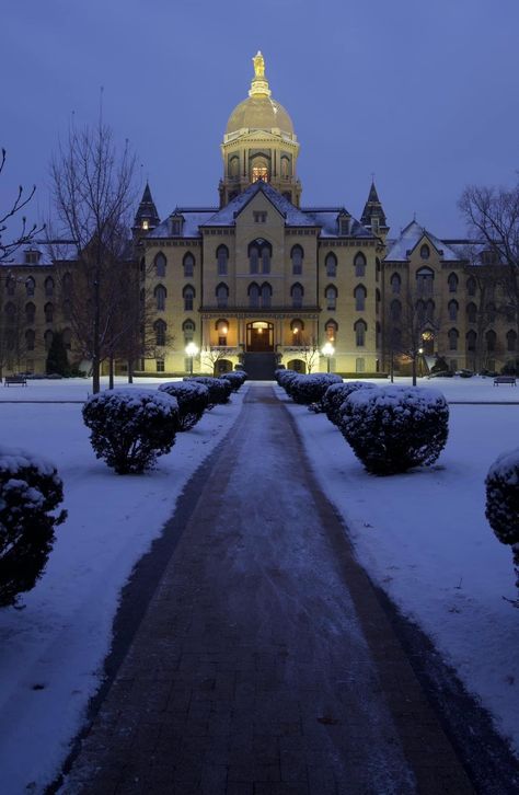 College Goals, Under The Dome, College Aesthetic, Notre Dame Football, Dream College, Dream School, Notre Dame University, Ncaa Football, Notre Dame