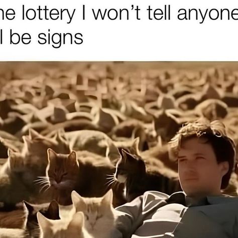 If I Win The Lottery There Will Be Signs, If I Won The Lottery, I Won The Lottery, Won The Lottery, Win The Lottery, The Lottery, Cat Signs, Winning The Lottery, I Win