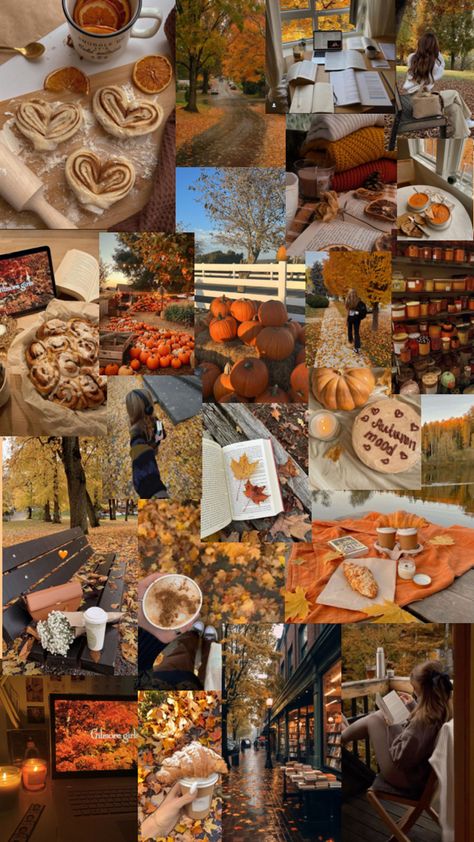 Fall Mood Board, Fall Faves, Cute Fall Wallpaper, Fall Halloween Decor, Pretty Wallpaper Iphone, Autumn Aesthetic, Fall Wallpaper, Aesthetic Collage, Autumn Inspiration