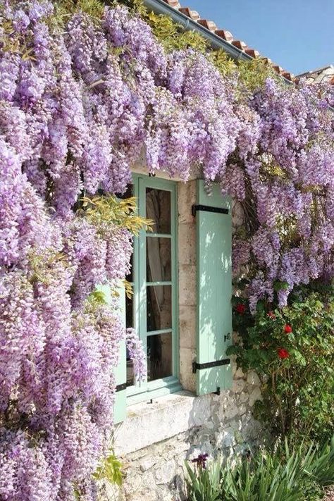 Pergola Ideas, French Windows, French Chateau, Kelly Wearstler, Garden Cottage, Dream Garden, Wisteria, Cottage Garden, Garden Inspiration