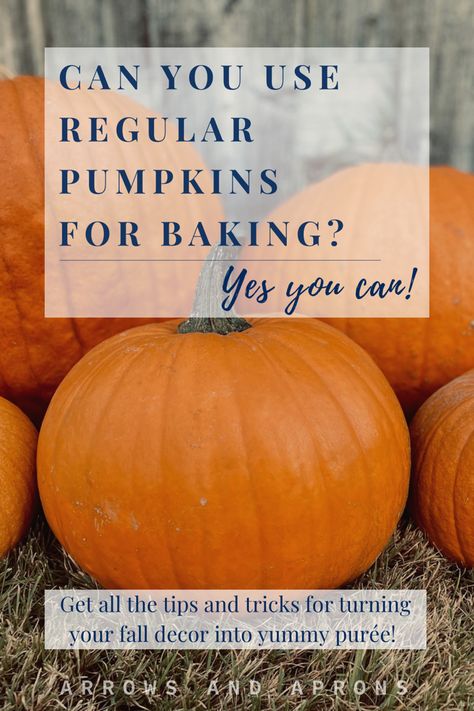 Get double duty out of your fall decor, and learn how to use regular jack-o’-lantern pumpkins for making purée! #fall #fallbaking #fallcooking #fallfoods #falldecor #pumpkin #pumpkinspice #pumpkindesserts #pumpkindecor #pumpkinrecipe Pumpkin Whole, Roasting Pumpkins For Puree, Potato Hash Recipe, Biggest Pumpkin, Large Pumpkins, Hash Recipe, Cooking Pumpkin, Pumpkin Uses, Sugar Pumpkin