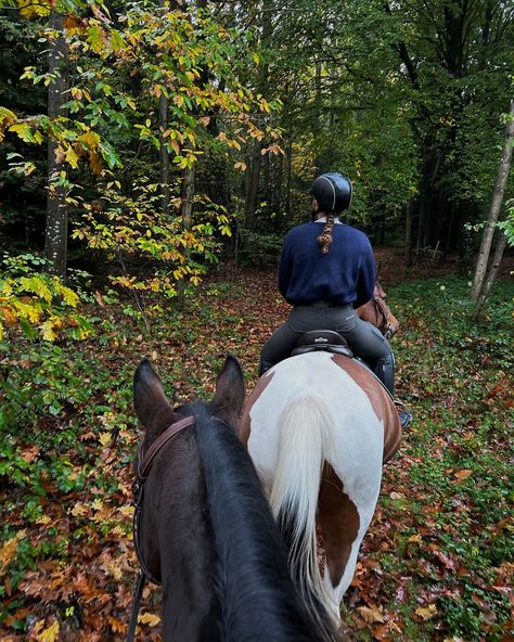 autumn rides with @equipad 🍂🤎 gifted | #equipad #equestrian #horses #autumn #fall #horseriding #horserider #horsepower #horselover #horselife Horses Aesthetic, Riding Aesthetic, Horse Clothes, Equestrian Horses, Big Cars, Horses Riding, Riding Horse, Horse Aesthetic, English Riding