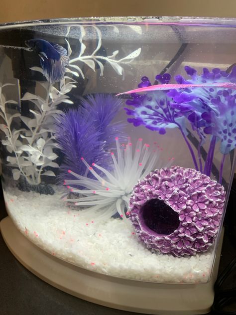 Glam decorated fish tank for betta Betta Fish Tank Decor Ideas, Aesthetic Betta Tank, Pink Fish Tank Aesthetic, Small Fish Tank Ideas Decorations, Betta Tank Decor, Cute Fish Tank Decor, Cute Beta Fish Tank Ideas, Axolotl Tank Ideas Aesthetic, Cute Fish Tank Ideas Aesthetic