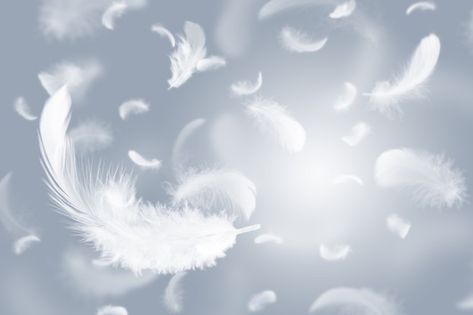 Group of light white feathers floating i... | Premium Photo #Freepik #photo #bird #sky #wallpaper #art Floating In The Air, Sky Wallpaper, White Books, Photo Grouping, Feather Wings, White Wings, Wallpaper Art, White Feathers, Feather Light