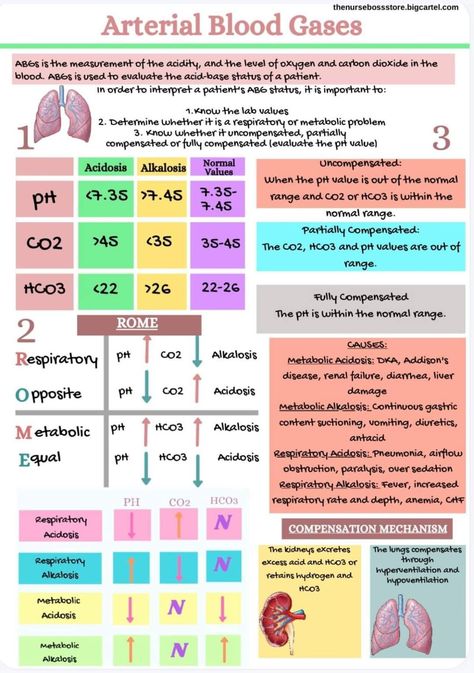 Arterial Blood Gases, Anesthesia School, Charting For Nurses, Nursing School Studying Cheat Sheets, Nurse Anesthesia, Nurse Skills, Nursing Study Tips, Medical Assistant Student, Arterial Blood Gas