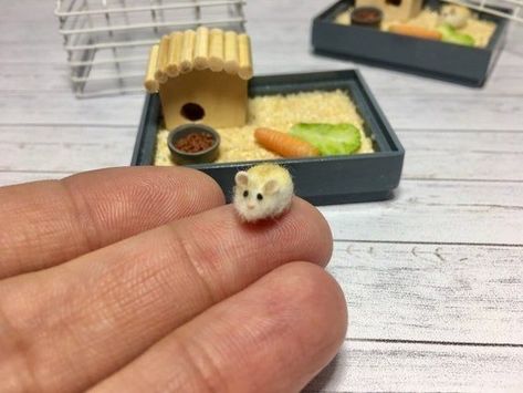 Doll House Pets, Funny Hamsters, A Hamster, Mini Doll House, Cute Small Animals, Cute Hamsters, Fun Easy Crafts, Miniature Animals, Cute Clay