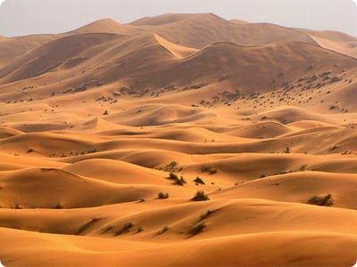 The Sahara Desert: The Most Beautiful Places, Is probably the most beautiful desert of all and very vast it covers most of the africa Desert Africa, Sahara Desert, Beautiful Hotels, Sierra Nevada, Beautiful Places In The World, Group Tours, In The Desert, Sand Dunes, Most Beautiful Places