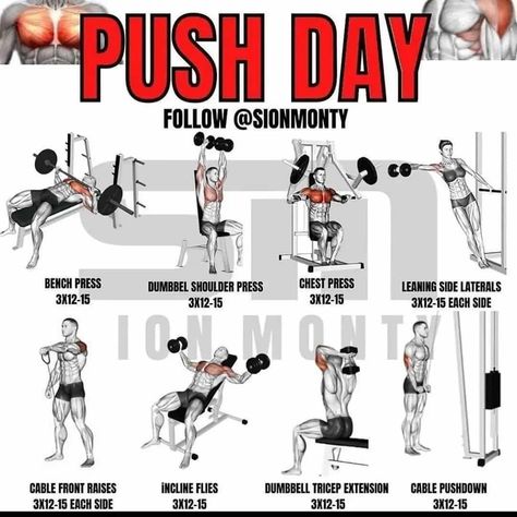 Push Your Limits: The Best Push Day Routines for Serious Gains (And the 18 Best Exercises To Do So) 2 Push Day For Women, Push Pull Legs Workout Plan Men, Push Day Exercises, Push Pull Workout Routine, Push Exercises, Push Pull Legs Workout, Leg Workout Plan, How To Build Strength, Push Day Workout