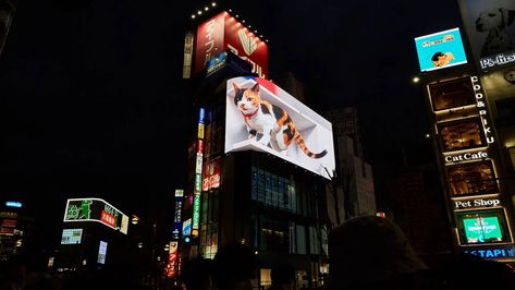 Shinjuku 3D Billboard 3d Billboard, Nighttime City, Tokyo Skyline, Kabukicho, Tokyo Tower, City Views, City View, After Dark, Great View