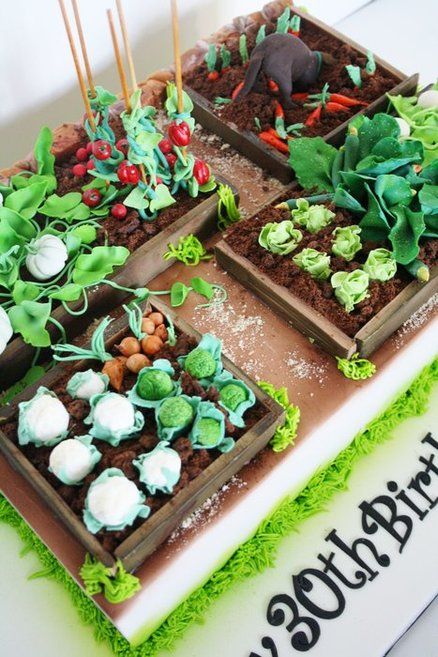 Vegetable Garden Cake - For all your cake decorating supplies, please visit craftcompany. co uk Allotment Cake, Vegetable Garden Cake, Garden Cake, Farm Cake, Garden Cakes, Unique Cakes, Novelty Cakes, Cake Decorating Supplies, Fancy Cakes