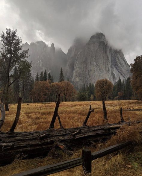 Fall Aesthetic Dark, Foggy Aesthetic, Dark Autumn, Aesthetic Fall, Best Seasons, Arte Fantasy, Autumn Cozy, Autumn Aesthetic, Samhain