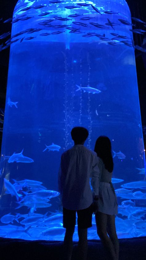 Couple Goal Dates, Aquarium Date Aesthetic, Ullzang Couples, Aquarium Date, Finally Happy, Cute Date Ideas, Dream Date, Couple Selfies, Ulzzang Couple