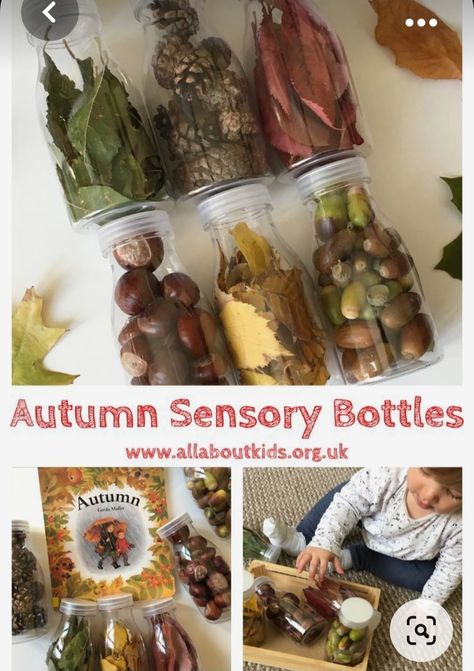 Autumn Activities For Babies, Kids Food Activities, Autumn Eyfs Activities, Baby Room Activities, Autumn Eyfs, Sensory Bottle, November Activities, Fall Preschool Activities, Eyfs Activities