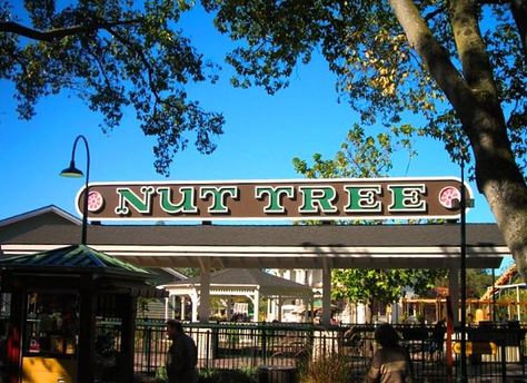 The Nut Tree Theme Park (closed) - Vacaville, California Central Valley California, Tree Restaurant, Tree Theme, Theme Parks Rides, River City, Central Valley, The Old Days, Santa Clara, Travel Memories