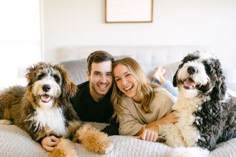 Home Couple Photoshoot Ideas With Dogs, Indoor Family Photos With Dog, At Home Family Photoshoot With Dogs, Photoshoot With Two Dogs, In Home Couples Session With Dogs, In Home Photo Shoot Couple With Dog, In Home Lifestyle Session Family, At Home Engagement Pictures, Dog Family Portraits