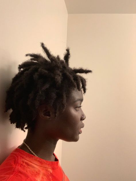 A picture of a girl with short locs which are natural and I retwist Ed. Short Freeform Dreads, Short Freeform Locs, Freeform Locs Black Women, Freeform Afro, Free Part Locs, Freeform Locs Women, Semi Freeform Locs, Locs Women, Afro Dreads