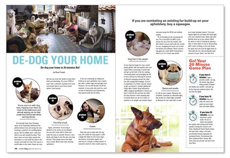 Dog Magazine Layout, Pet Magazine Layout, Magazine Back Cover, Food Magazine Layout, Pet Magazine, Animal Magazines, Magazine Cover Ideas, Dog Magazine, Magazine Design Inspiration