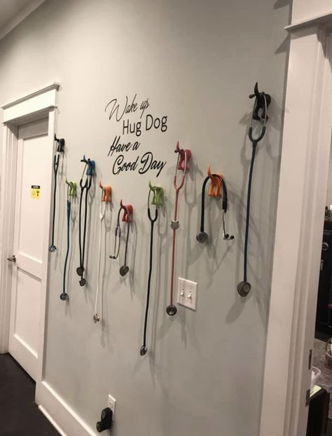 Veterinary Clinic Decor, Vet Office Ideas, Veterinarian Office Decor, Veterinary Office Decor, Vet Clinic Exam Room Ideas, Veterinary Decor Ideas, Vet Clinic Decor, Vet Clinic Decoration Ideas, Cute Vet Clinic Ideas